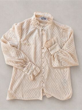 Walter Baker Blush Pink Chevron Textured Sheer Blouse Size S